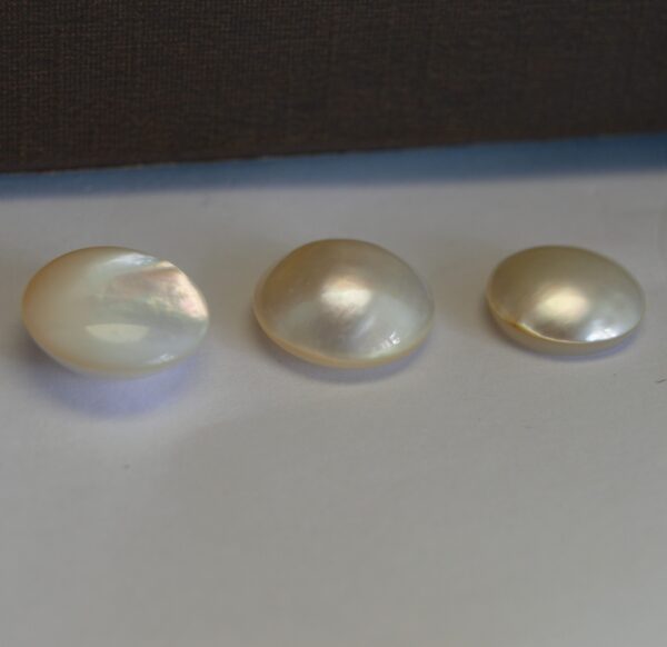Perla japonesa Mabe - Imagen 2